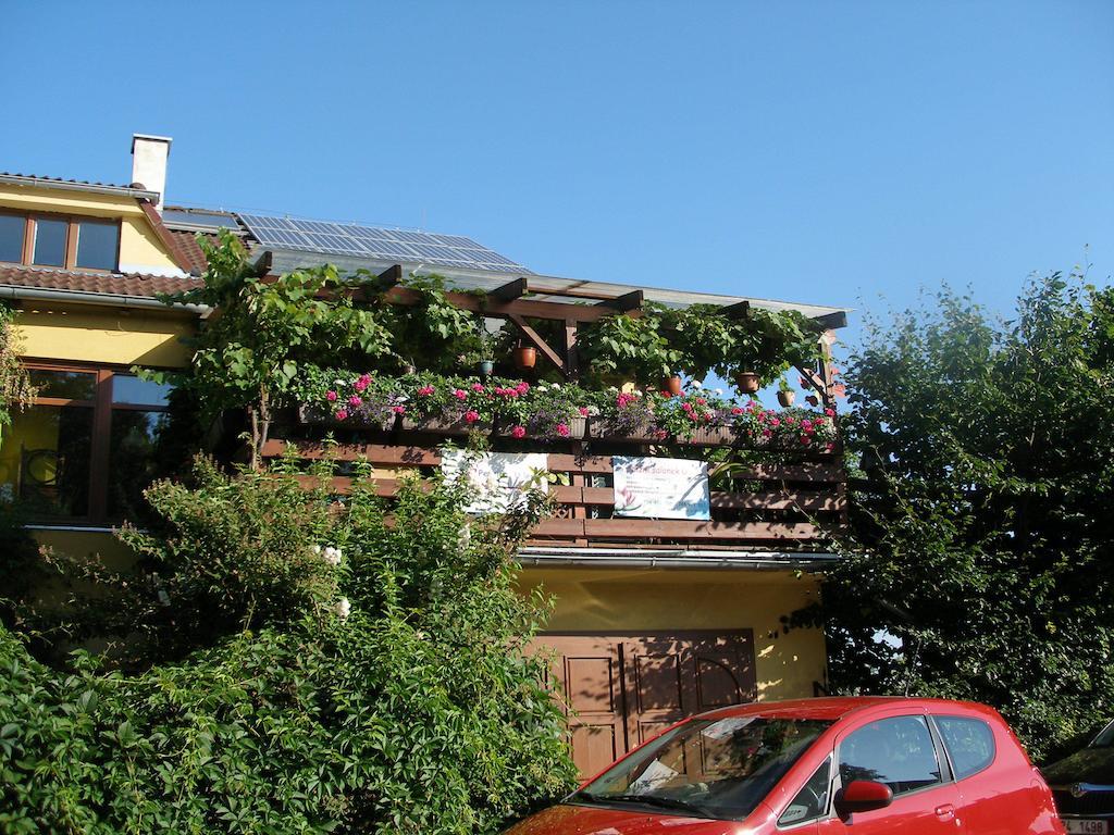 Penzion U Lesa Ceske Budejovice Exterior foto